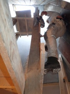 PA020047_800x600